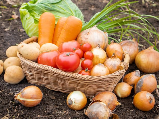 Seasonal Fruits
